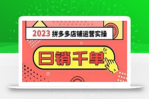 2023拼多多运营实操,每天30分钟日销1000+,爆款选品技巧大全(10节课)