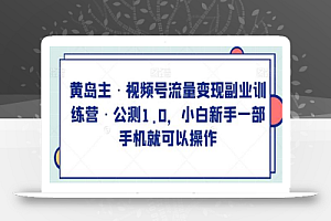 黄岛主·视频号流量变现副业训练营·公测1.0,小白新手一部手机就可以操作