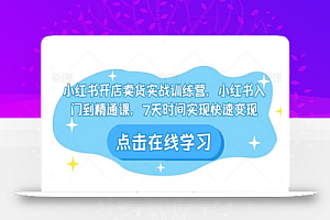 小红书开店卖货实战训练营,小红书入门到精通课,7天时间实现快速变现