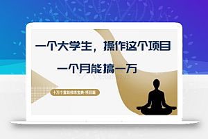 十万个富翁修炼宝典之4.一个大学生操作这个项目,一个月能搞一万