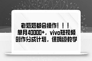 老奶奶都会操作,新平台无脑操作,单月40000+,vivo短视频创作分成计划