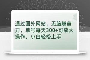 通过国外网站,无脑赚美刀,单号每天300+可放大操作,小白轻松上手