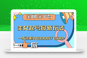 全网,全平台,美女起号最新玩法一天涨粉10000收入500+