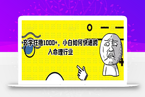 玄学狂撸1000+,小白如何快速跨入命理行业