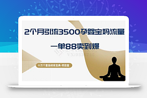 十万个富翁修炼宝典之13.2个月引流3500孕婴宝妈流量,一单88卖到爆
