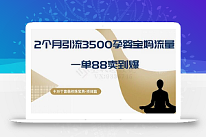 十万个富翁修炼宝典之13.2个月引流3500孕婴宝妈流量，一单88卖到爆