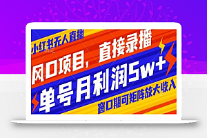 风口项目,小红书无人直播带货,直接录播,可矩阵,月入5w+
