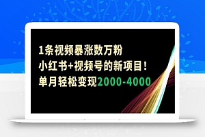1条视频暴涨数万粉–小红书+视频号的新项目!单月轻松变现2000-4000