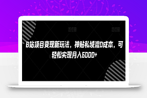 B站项目变现新玩法,神贴私域流0成本,可轻松实现月入6000+