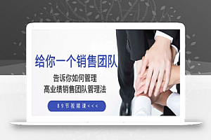 给你 一个销售团队,告诉你如何管理,高业绩销售团队管理法(89节课)