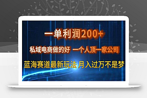 一单利润200私域电商做的好,一个人顶一家公司蓝海赛道最新玩法