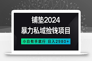 暴力私域捡钱项目，小白无脑操作，日入2980