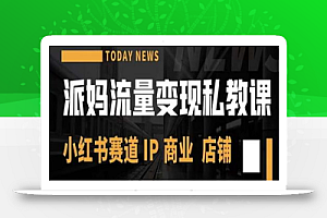 派妈流量变现私教课,小红书赛道IP 商业 店铺