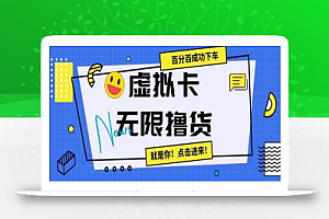 虚拟卡无限撸货,百分百成功下车
