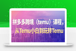 拼多多跨境(temu)课程,从Temu小白到玩转Temu