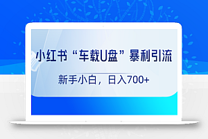 小红书“车载U盘”项目,暴利引流,新手小白轻松日入700+