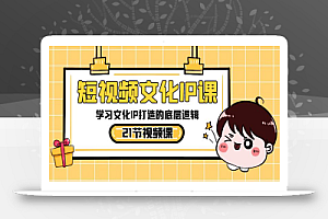 短视频文化IP课,学习文化IP打造的底层逻辑(21节课)