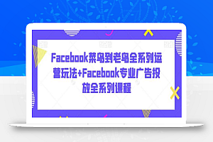 Facebook菜鸟到老鸟全系列运营玩法+Facebook专业广告投放全系列课程