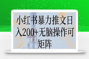 小红书暴力推文日入200+无脑操作可矩阵