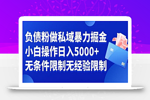 负债粉私域暴力掘金,小白操作入5000,无经验限制,无条件限制