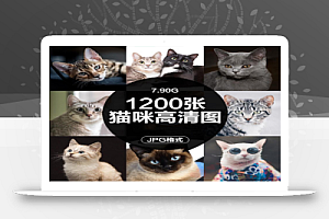 猫咪JPG高清图1200张
