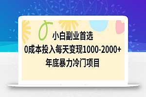 小白副业首选,0成本投入,每天变现1000-2000年底暴力冷门项目
