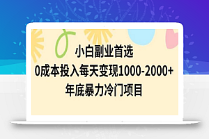 小白副业首选，0成本投入，每天变现1000-2000年底暴力冷门项目