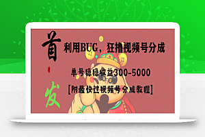 全网独家首发，视频号BUG，超短期项目，单号每日净收益300-5000！