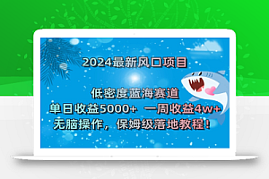 2024最新风口项目 低密度蓝海赛道,日收益5000+周收益4w+ 无脑操作