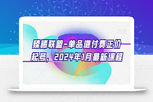 臻曦联盟-单品微付费正价起号,2024年1月最新课程