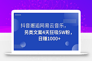 抖音邂逅网易云音乐,另类文案4天狂吸5W粉,日赚1000+