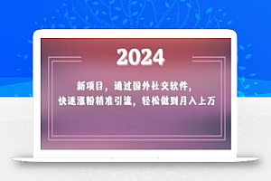 2024新项目,通过国外社交软件,快速涨粉精准引流,轻松做到月入上万