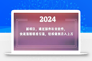 2024新项目，通过国外社交软件，快速涨粉精准引流，轻松做到月入上万