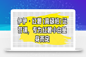 伊伊·红薯【高级班】运营课,专为红薯小白量身而定