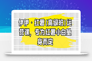 伊伊·红薯【高级班】运营课，专为红薯小白量身而定