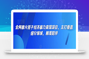 全网最火搭子经济暴力变现项目,主打垂直细分领域,精准陪伴