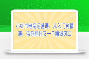 小红书电商运营课,从入门到精通,带你抓住又一个赚钱风口