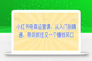 小红书电商运营课，从入门到精通，带你抓住又一个赚钱风口