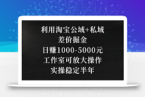 利用淘宝公域+私域差价掘金,日赚1000-5000元,工作室可放大操作,实操稳定半年