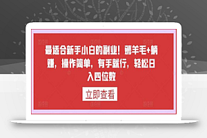 最适合新手小白的副业!薅羊毛+躺赚,操作简单,有手就行,轻松日入四位数