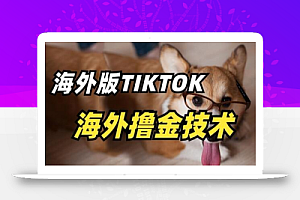 抖音海外版tiktok撸金技术,这个风口行业,赚钱真的不难