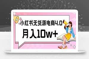 小红书新电商实战,无货源实操从0到1月入10w+联合抖音放大收益