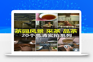 茶叶特写茶农采茶品茶高清实拍