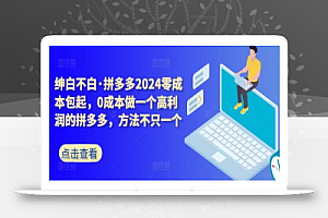 拼多多2024零成本包起,0成本做一个高利润的拼多多,方法不只一个