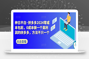 拼多多2024零成本包起，0成本做一个高利润的拼多多，方法不只一个