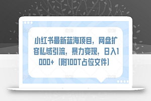 小红书最新蓝海项目,网盘扩容私域引流,暴力变现,日入1000+(附100T占位文件)