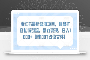 小红书最新蓝海项目，网盘扩容私域引流，暴力变现，日入1000+（附100T占位文件）