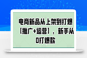 电商新品从上架到打爆【推广+运营】,新手从0打爆款