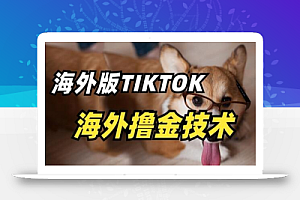 抖音海外版tiktok撸金技术,这个风口行业,赚钱真的不难