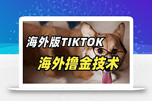 抖音海外版tiktok撸金技术，这个风口行业，赚钱真的不难